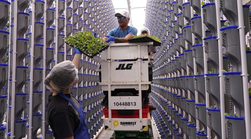 A lot of indoor farms are closing because their businesses are struggling. So why are more being made?