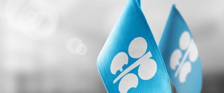 OPEC cuts inflation concerns as energy prices rise – OilPrice.com