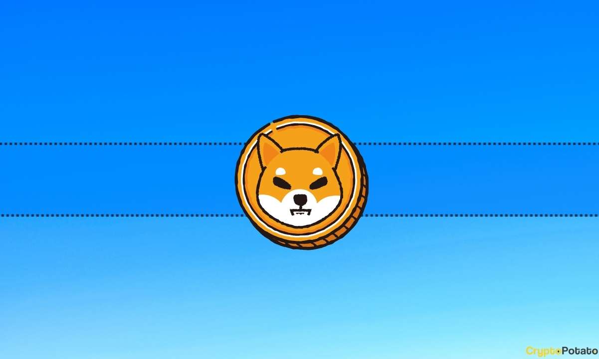 Shiba Inu team explains why people should stop ‘cheating’ into bad tokens