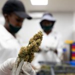Detroit grants 37 cannabis licenses, 13 going to black-owned businesses