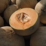 FDA warns against eating recalled cantaloupes due to salmonella risk