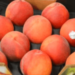 Peaches, plums and nectarines are being recalled nationwide linked to a deadly listeria outbreak.