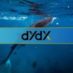 Here's how whales navigated dYdX's 150M token unlock