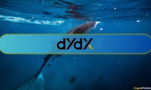 Here's how whales navigated dYdX's 150M token unlock